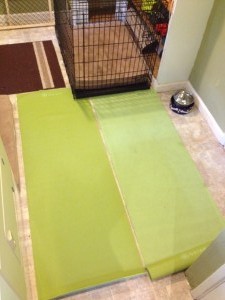 Getting Traction: Non-Slip Floor Covering Ideas for Older Dogs and